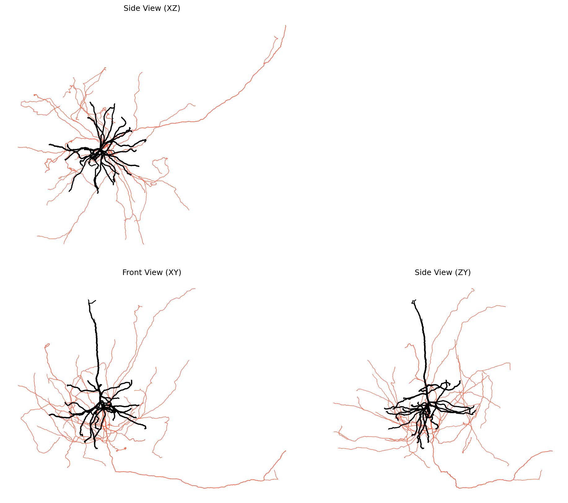 Multi-view Plot